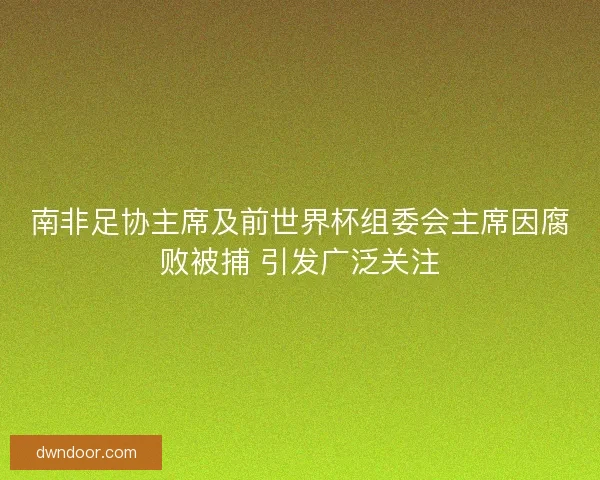 南非足协主席及前世界杯组委会主席因腐败被捕 引发广泛关注 南非足协主席及前世界杯组委会主席因腐败被捕 引发广泛关注